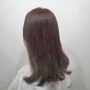 헤어더뷰 이미지