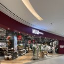 SK | 무지 무인양품 인기템 스킨케어 후기 SK-II 가성비 추천 쿠키 생초콜릿까지