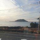나른한 당근 | 제주서쪽감성카페 바이닐 제주 | 감성 여행 코스 추천