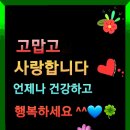 설램 이미지