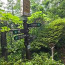 [청계산 등산코스] 옛골~이수봉~망경대~매봉~옥녀봉~원터골 11km 완주 후기