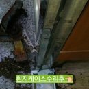 고향집생고기 이미지