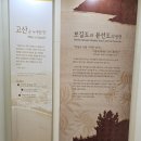 보길도 윤선도 원림 이미지