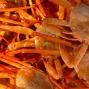 울진어패류 이미지