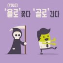 욜로(YOLO) 이미지