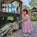 청솔공원 | 강릉 뒷뜨루 아이랑 가볼만한곳 | 먹이주기 체험, 소요시간 후기