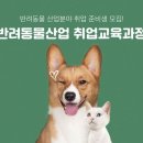 한국반려동물교육원 이미지