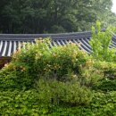 꽃과 한옥 이미지