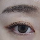 아이젠트리렌즈미 세종다정점 이미지