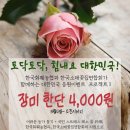 갈매꽃집 이미지