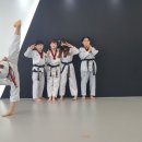 서운태권도장 네이버블로그