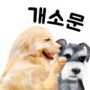 뚜리까까 이미지