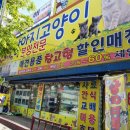 애견용품 창고형 할인매장 이미지
