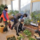 한국가드너협동조합