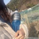 봉암다리주유소 이미지