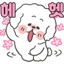 씨알알 이미지