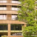 파라스파라 서울 이미지