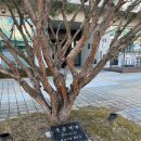 태안도서관 4층 강당 | [화성시립 태안도서관 이용 가이드] 아이와 함께 다니기 좋은 도서관 투어