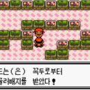 금빛체육관