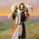 밀밭사이 이미지