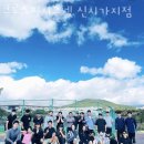 크로스핏시그넷 이미지