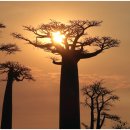 (주)푸른나라 이미지