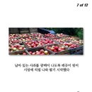 대인생역전