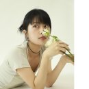그린버드스튜디오