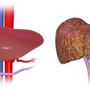 나라골프연습장 이미지