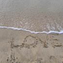 영도사랑약국 이미지