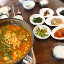 송골새 이미지