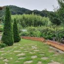 다정이네 이미지