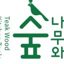 나무와 숲 네이버블로그