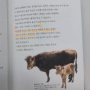 메타논술교습소