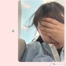 부산강아지분양 도그메종 본점 | 2026 열두 번째 ⭐️SEULOG⭐️ (2026/06/01 ~2026/06/14)