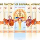 굿모닝보청기 평택서정센터 이미지