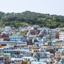 시빅주 이미지