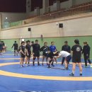 인제합기도 강원일보