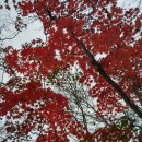 가야(주) 이미지