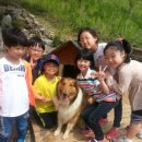 하연영재과학교습소 - 용인시 기흥구 중부대로788번길 22 | 하연영재과학교습소