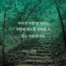 상반 세계 / 긍정은 나의 몫 이미지