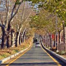 청주가로수길 이미지