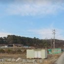 음성 토지292평 농막1동 하우스1동 각종 유실수 다량식재 매가1억3천 이미지
