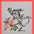 캘리그라피 Daum카페