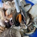 풍성한횟집 이미지