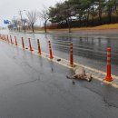 대해로 3 이미지