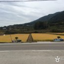 무병장수마을