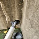 수완주유소 이미지