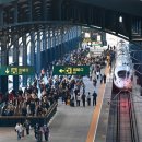 신화여객 이미지