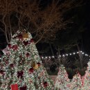 문성로1길 | 구미 문성 크리스마스 분위기 원탑 모에누베이커리, 베이글 맛집 목림커피